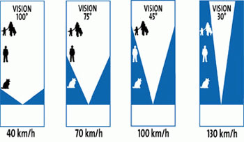 La vue et la vitesse